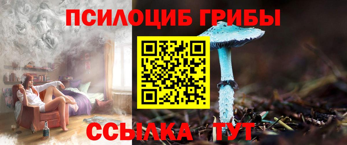 где можно купить   Галлюциногенные грибы Magic Shrooms  Вход с VPN  Псилоцибиновые грибы мухоморы  Кировск 
